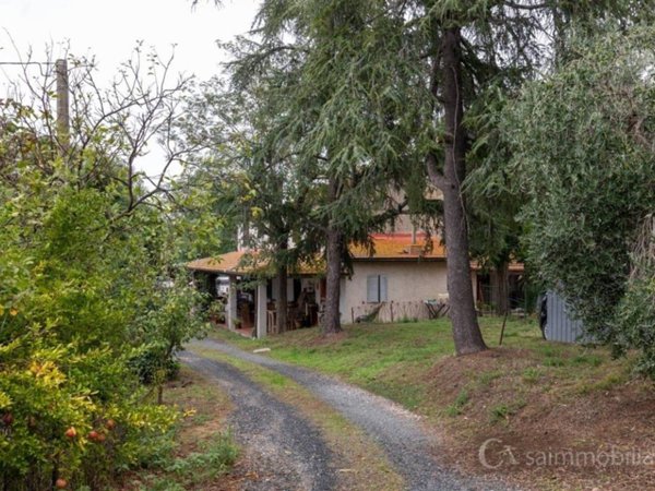 casa indipendente in vendita a Magliano in Toscana