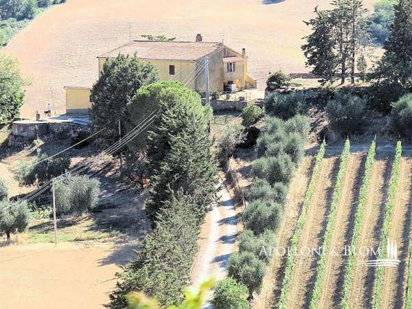 villa in vendita a Magliano in Toscana in zona Pereta