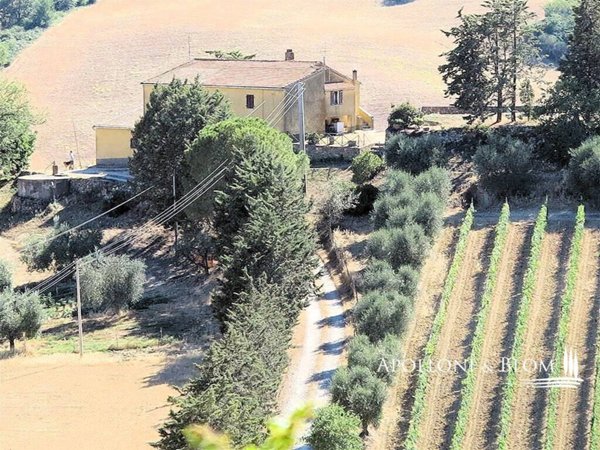 casa indipendente in vendita a Magliano in Toscana in zona Pereta