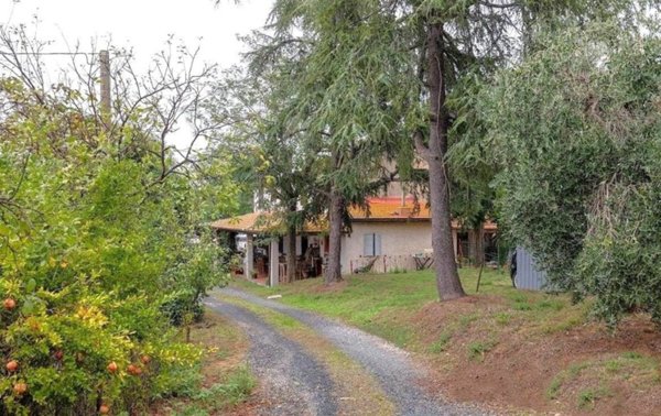 casa indipendente in vendita a Magliano in Toscana in zona Montiano