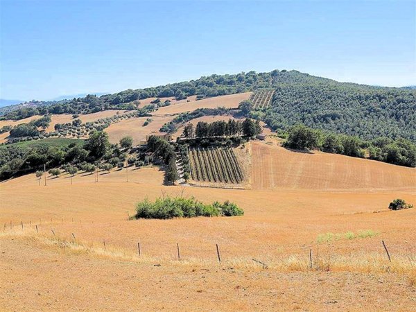 casa indipendente in vendita a Magliano in Toscana in zona Pereta