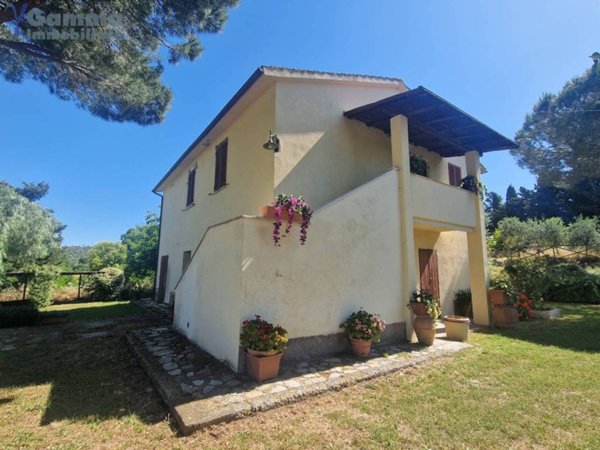 casa indipendente in vendita a Magliano in Toscana in zona Montiano