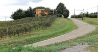 azienda agricola in vendita a Magliano in Toscana in zona Sant'Andrea