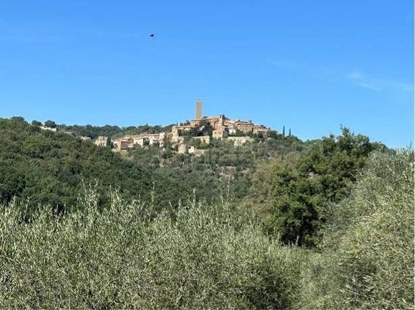 appartamento in vendita a Magliano in Toscana in zona Pereta