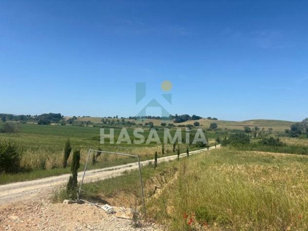 casa indipendente in vendita a Magliano in Toscana