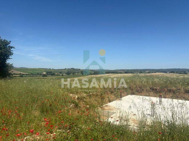 terreno agricolo in vendita a Magliano in Toscana in zona Sant'Andrea