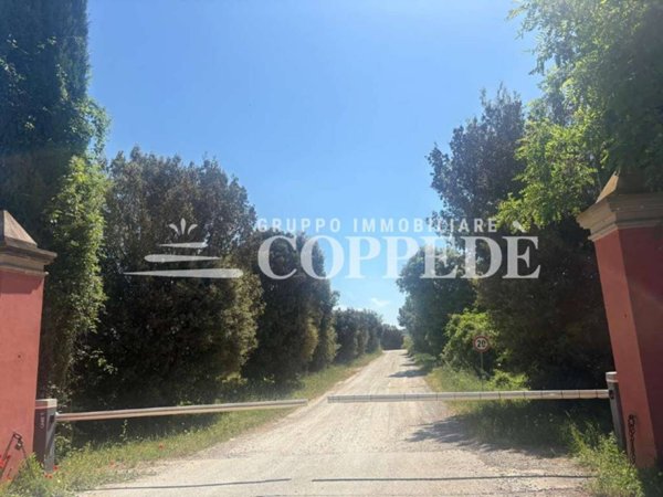 casa indipendente in vendita a Magliano in Toscana in zona Sant'Andrea