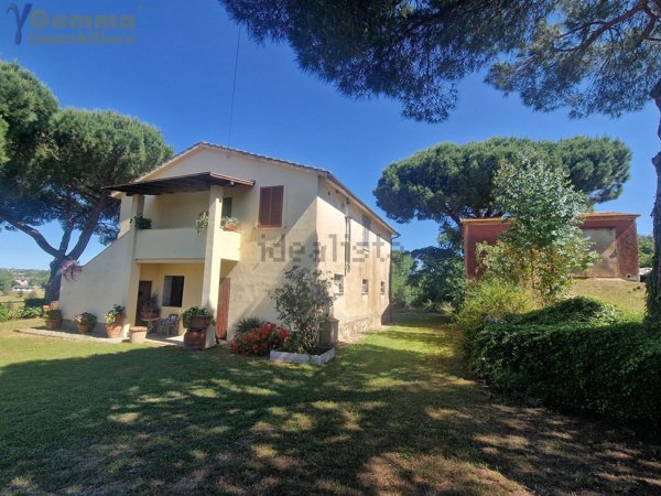 pentavano in vendita a Magliano in Toscana in zona Montiano