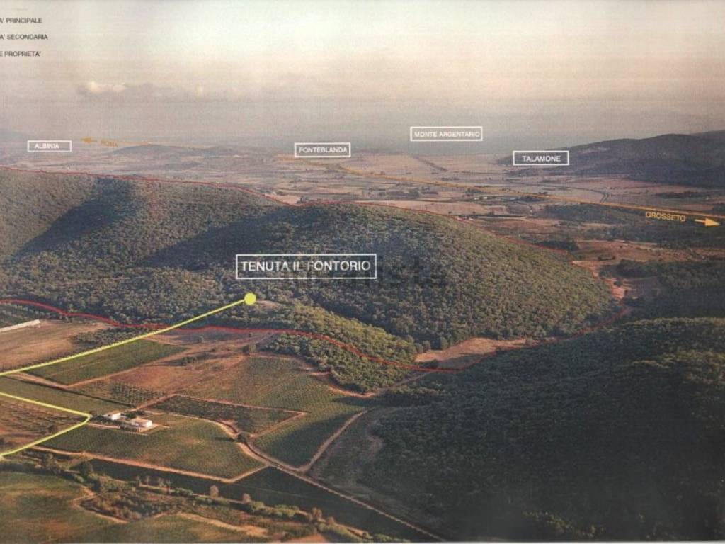 terreno agricolo in vendita a Magliano in Toscana in zona Montiano