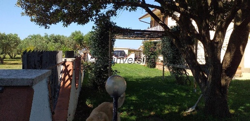 casa indipendente in vendita a Magliano in Toscana