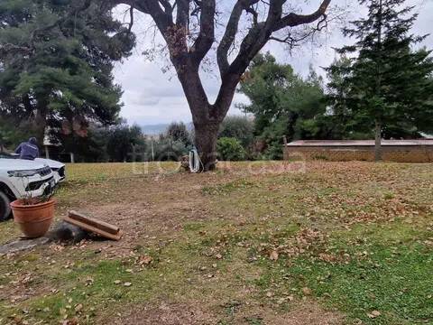 appartamento in vendita a Magliano in Toscana in zona Pereta