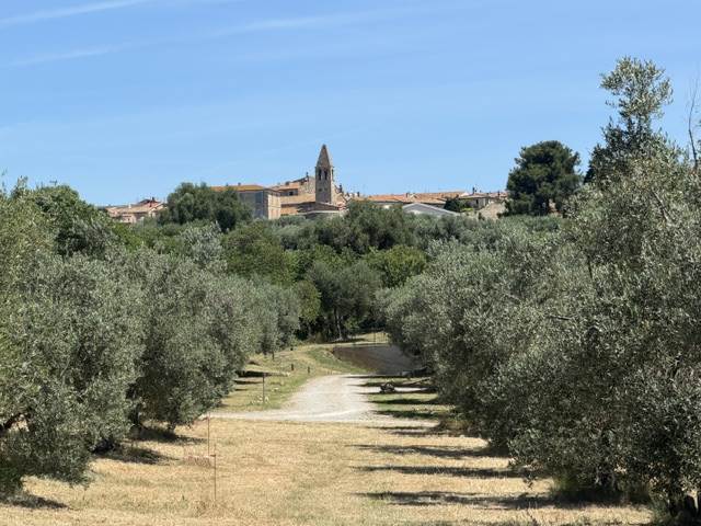 casa indipendente in vendita a Magliano in Toscana