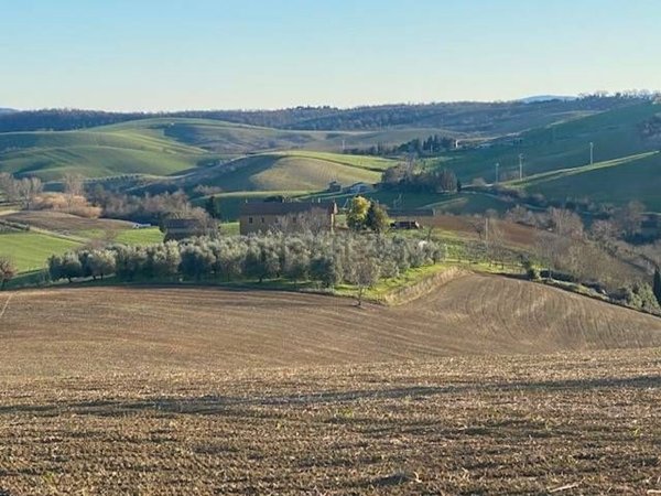 appartamento in vendita a Magliano in Toscana