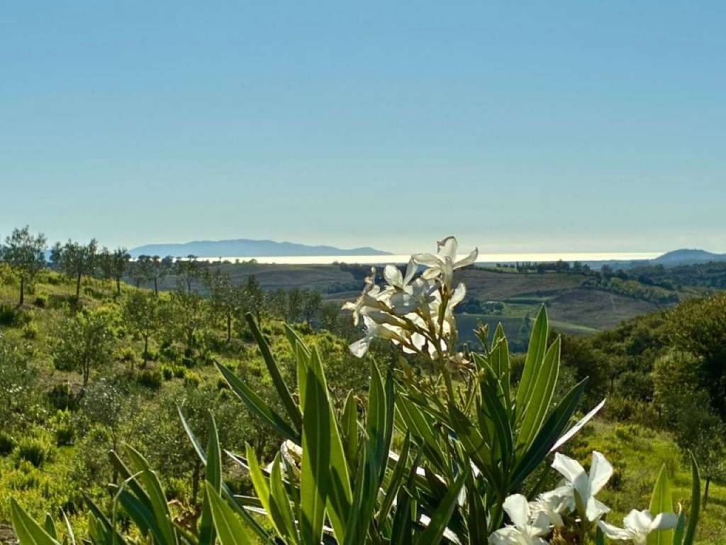 casa indipendente in vendita a Magliano in Toscana
