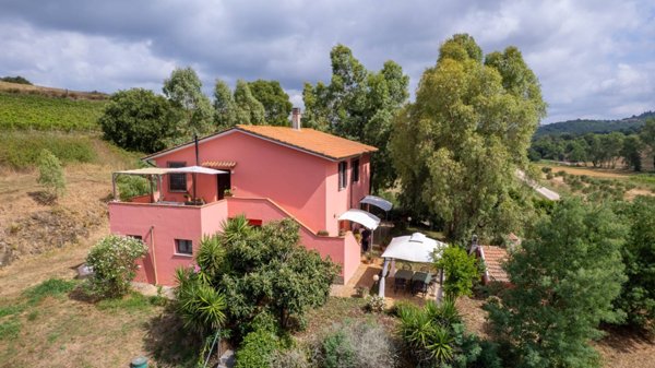 casa indipendente in vendita a Magliano in Toscana