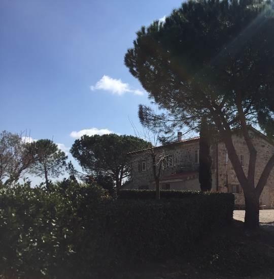 casa indipendente in vendita a Magliano in Toscana