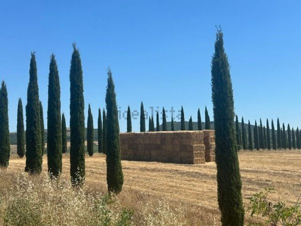 casa indipendente in vendita a Magliano in Toscana