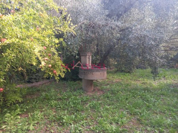 casa indipendente in vendita a Magliano in Toscana