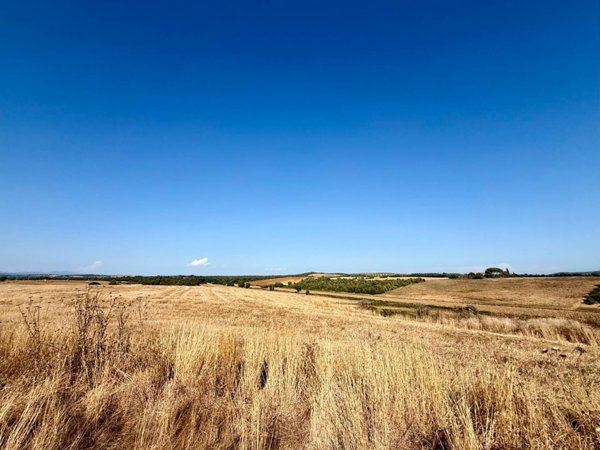 casa indipendente in vendita a Magliano in Toscana