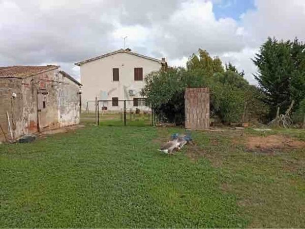 appartamento in vendita a Magliano in Toscana