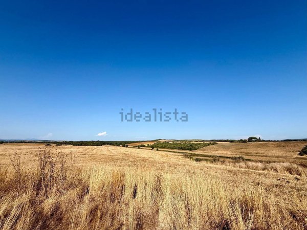 casa indipendente in vendita a Magliano in Toscana