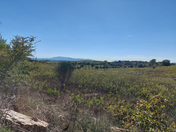casa indipendente in vendita a Magliano in Toscana