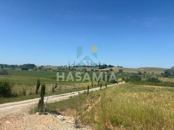 terreno in vendita a Magliano in Toscana