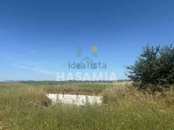 terreno in vendita a Magliano in Toscana