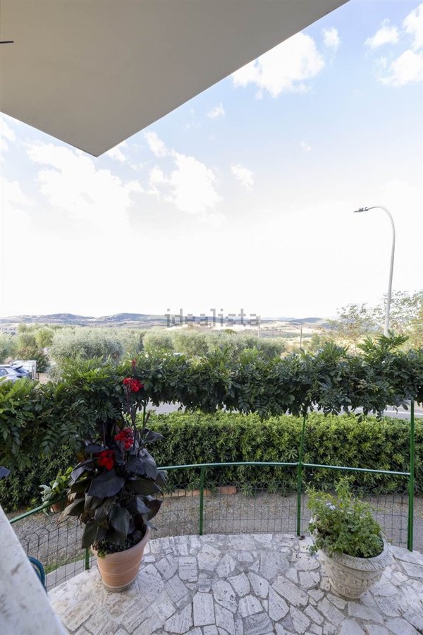 appartamento in vendita a Magliano in Toscana in zona Montiano