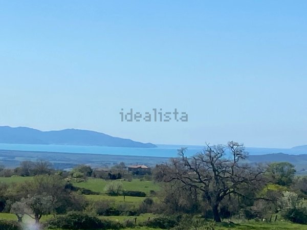 casa indipendente in vendita a Magliano in Toscana