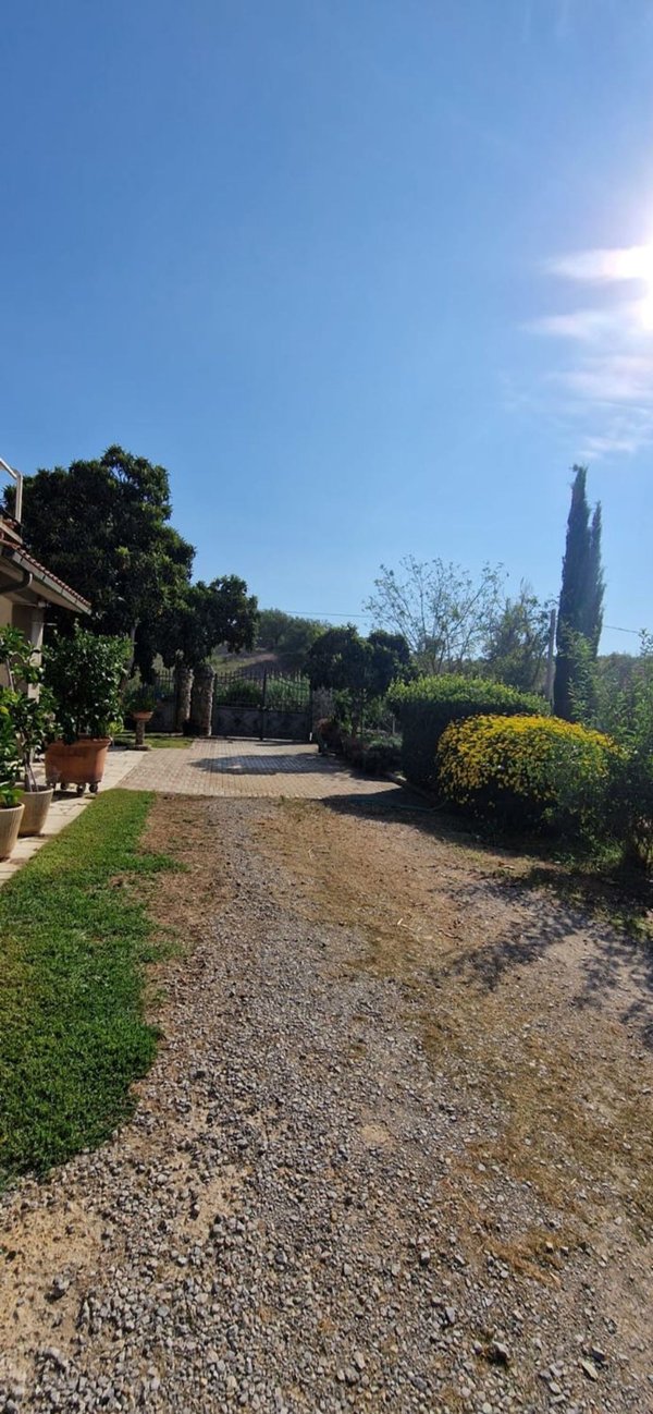 casale in vendita a Magliano in Toscana