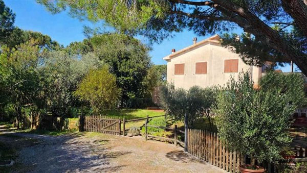 casa indipendente in vendita a Magliano in Toscana