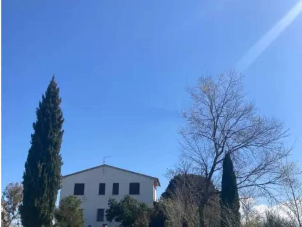 casa indipendente in vendita a Magliano in Toscana in zona Montiano