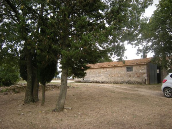 azienda agricola in vendita a Manciano in zona Saturnia