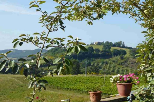 casa indipendente in vendita a Manciano in zona Saturnia