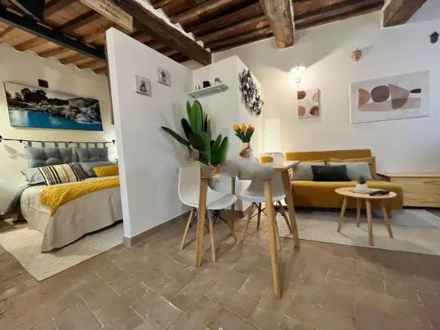 appartamento in vendita a Manciano