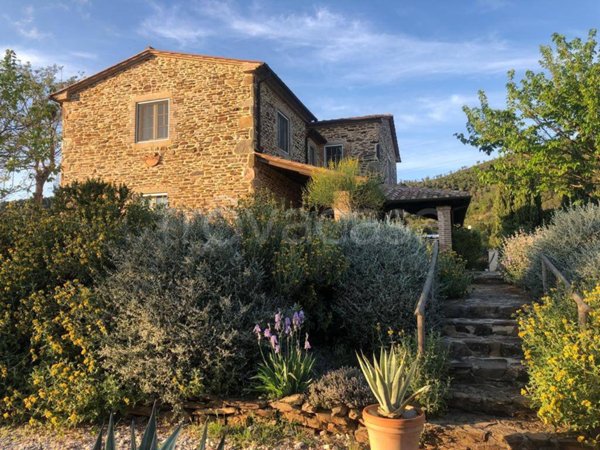 casa indipendente in vendita a Manciano in zona Saturnia