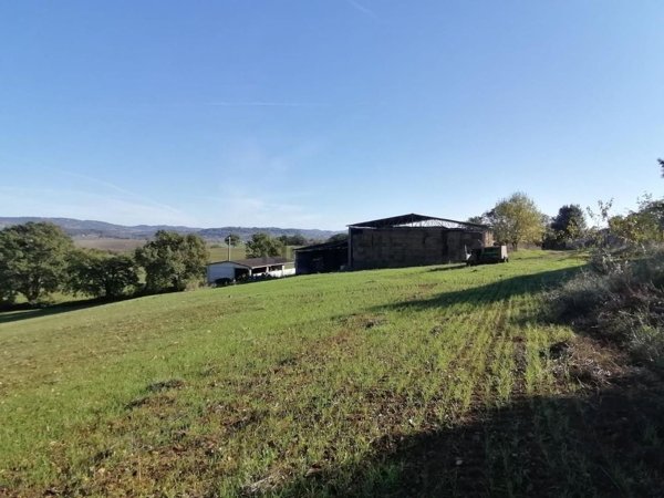 casa indipendente in vendita a Manciano in zona Saturnia