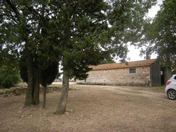 ufficio in vendita a Manciano in zona Saturnia