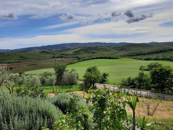 terreno agricolo in vendita a Manciano in zona Poggio Murella