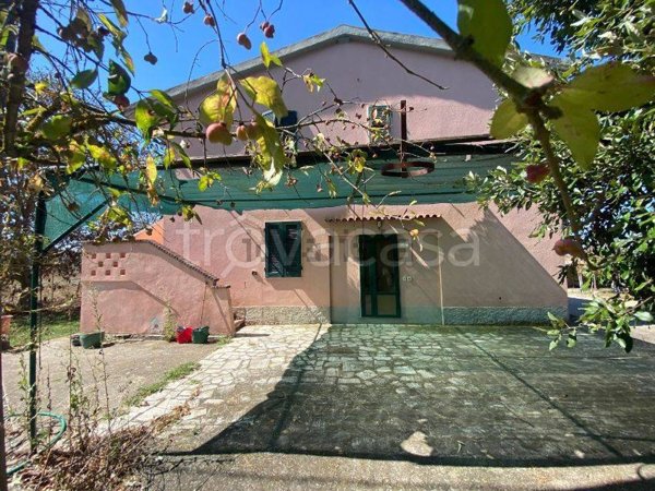 casa indipendente in vendita a Manciano in zona Marsiliana