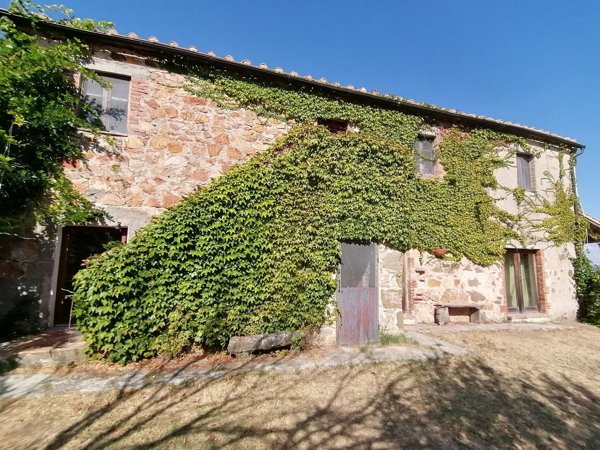 pentavano in vendita a Manciano