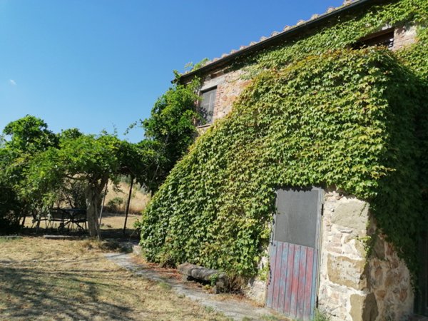 casa indipendente in vendita a Manciano in zona Saturnia