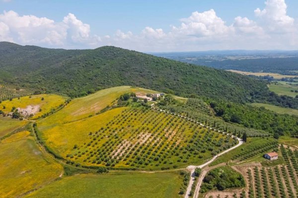 casa indipendente in vendita a Manciano