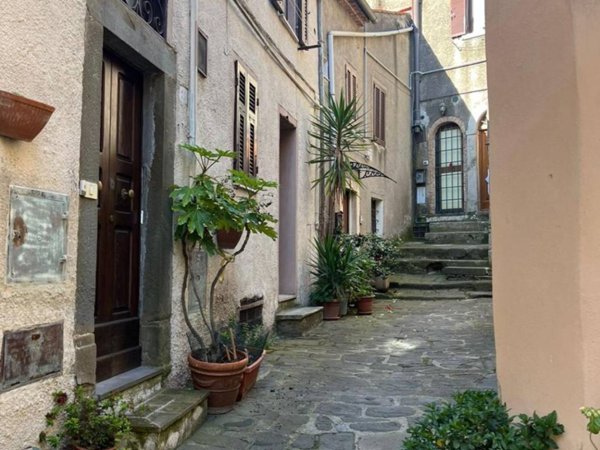 appartamento in vendita a Manciano in zona Saturnia