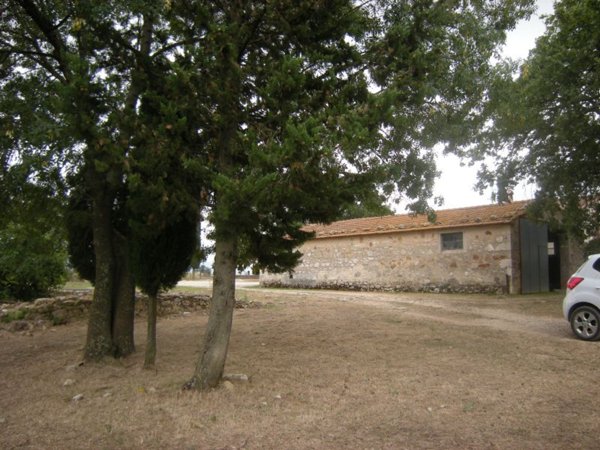 negozio in vendita a Manciano in zona Saturnia