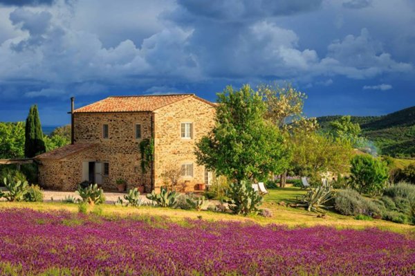 casa indipendente in vendita a Manciano in zona Saturnia