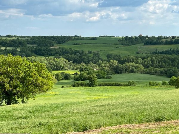 negozio in vendita a Manciano in zona San Martino sul Fiora