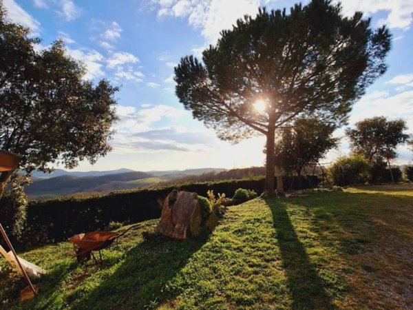 terreno agricolo in vendita a Manciano