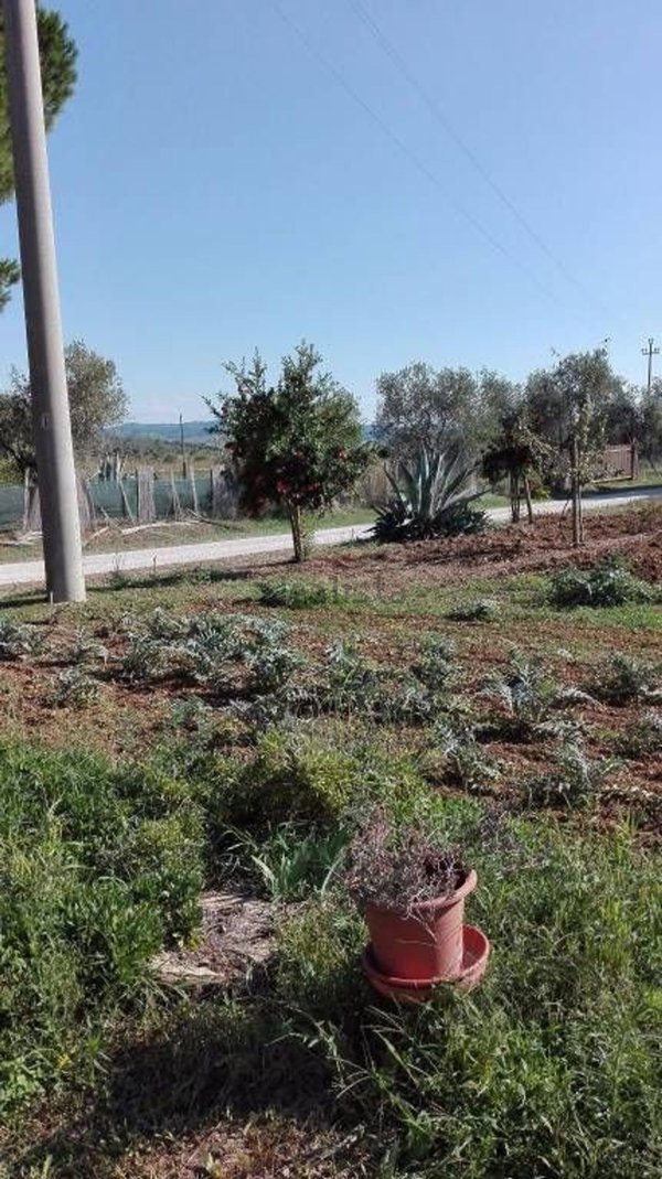 appartamento in vendita a Manciano